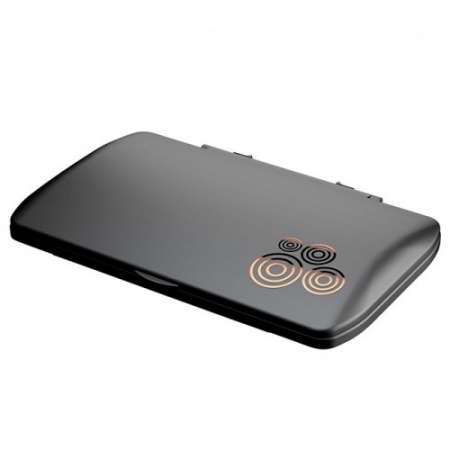 Комбинированная палитра для нанесения керамики и красителей в комплекте с кистью для красителей Evolution Master Ceramic Palette черная